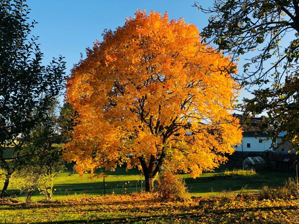 Villa Landleben auf Zeit Utzerath Exterior foto